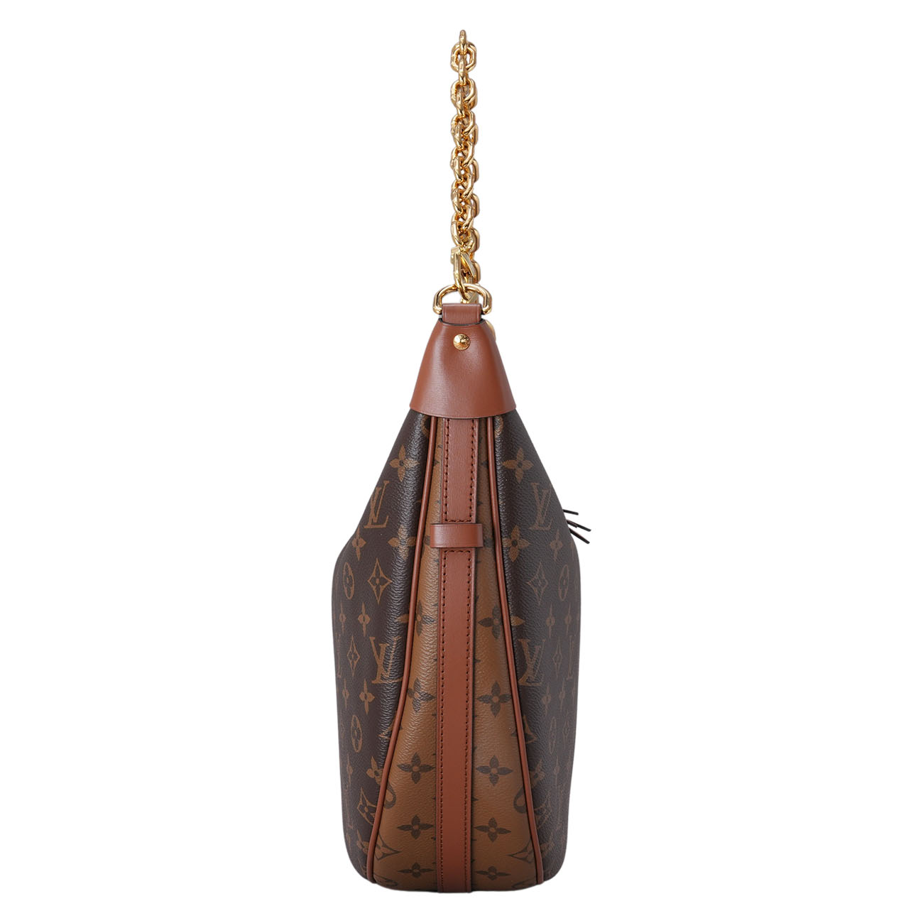 LOUIS VUITTON(USED)루이비통 M46311 모노그램 루프 호보백